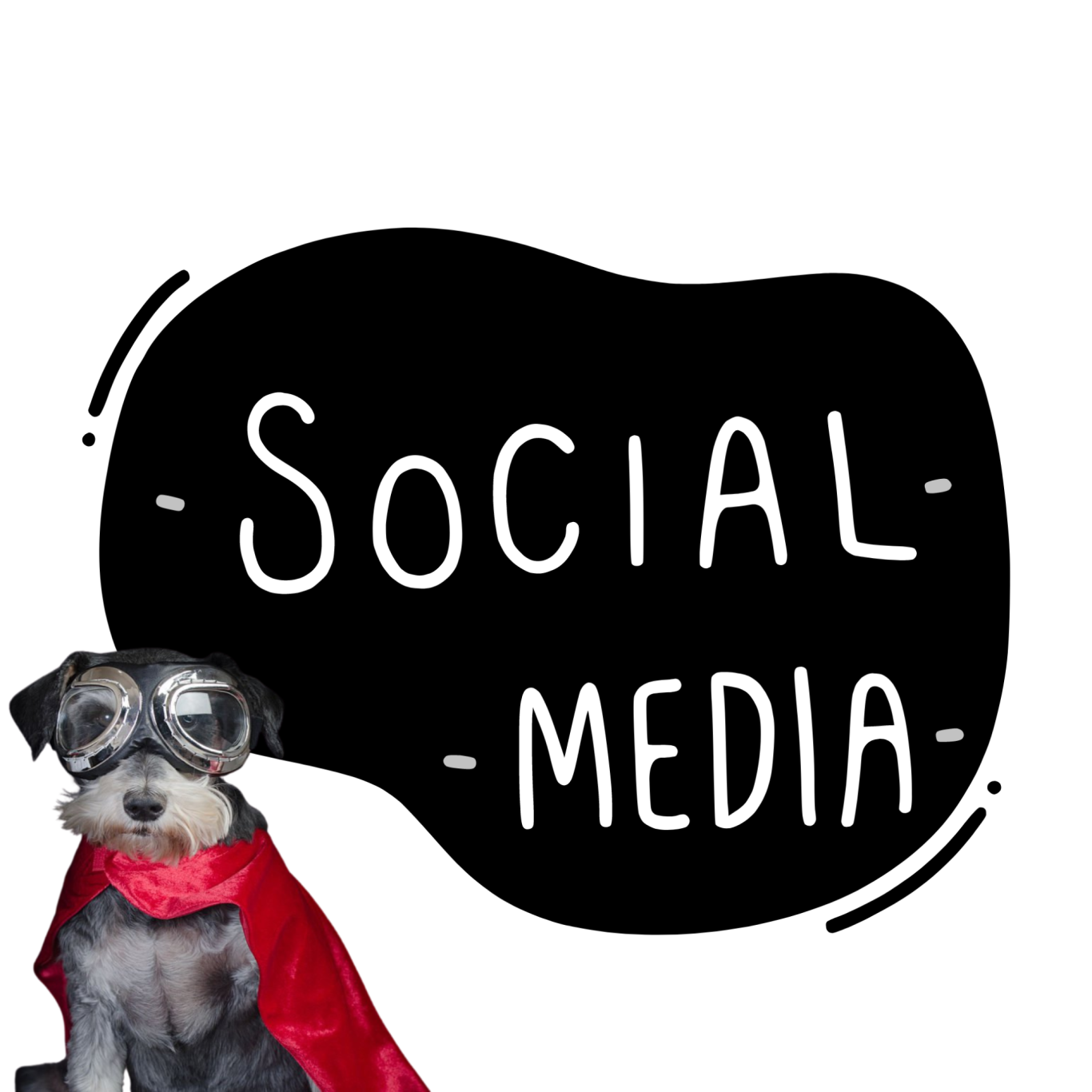 SOCIAL MEDIA SOCIAL MEDIA